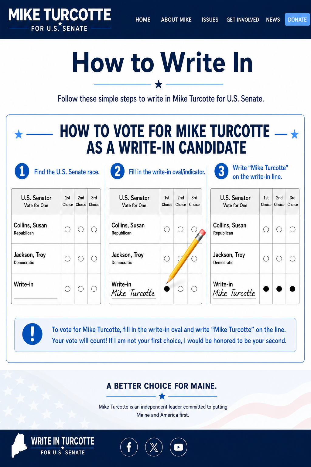 Write-In campaign page